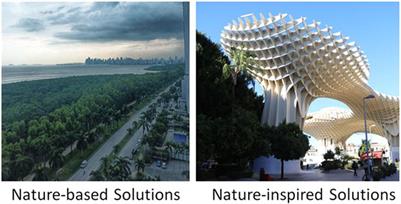 How bio-inspired solutions have influenced the built environment design in hot and humid climates
